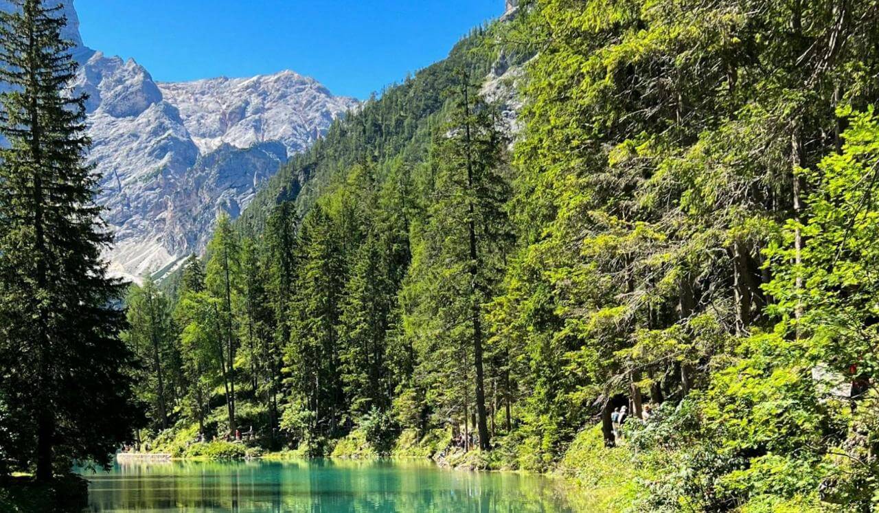 Mindfulness Y Cerebro