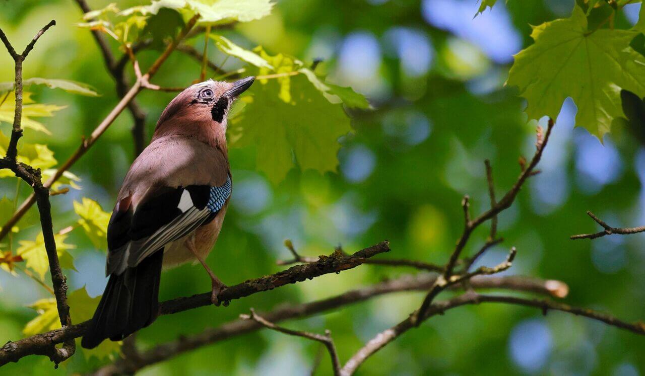 From Reactive To Responsive: STOP Practice For Changemakers