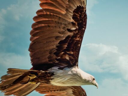 Success Magic For Busy People - Part 3: Proactive Leadership - by Alice Langholt