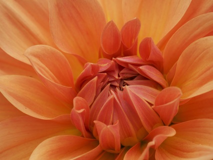 Sacred Waters: Awaken Your Creative And Emotional Flow - by Sylvia & Santiago Garza