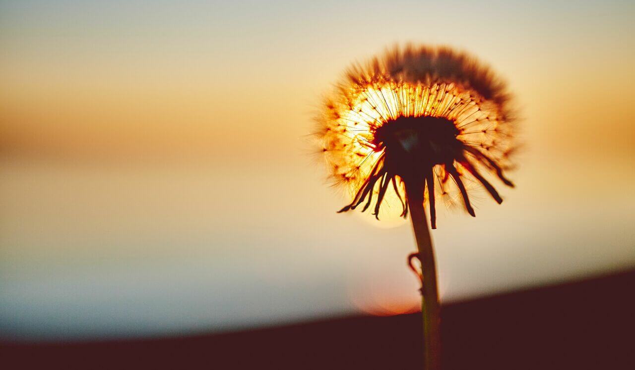 I Am Qualified And Confident Meditation