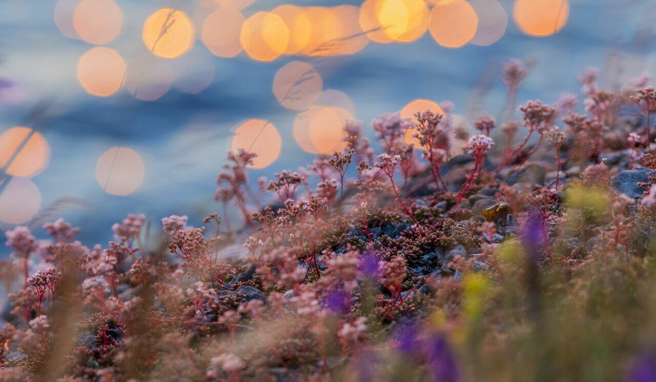 5 Fast-Acting Tools To Shift from Anger To Peace