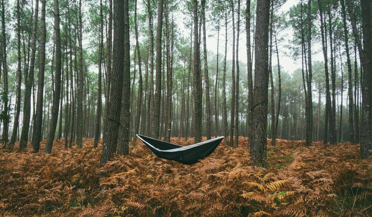 Back Body Practice For Restoration