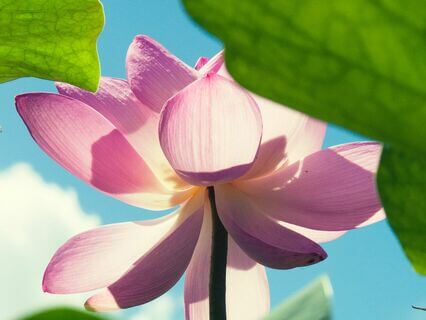 Shift Your Mindset In 4 Days - by Charlotte Jackson