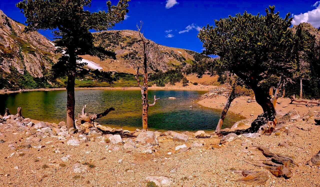 Intuition: Improve Perception And Judgement