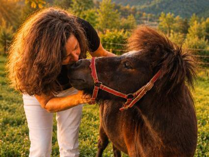 Lessons From A Pyrenees "Pony Of Presence"
