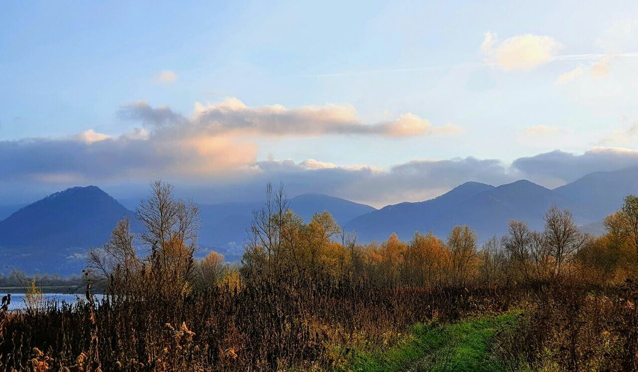 Working Somatically With Overwhelm - Live Session Recording