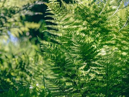 Find Stillness Amidst Movement With Healing Harp (639 Hz)