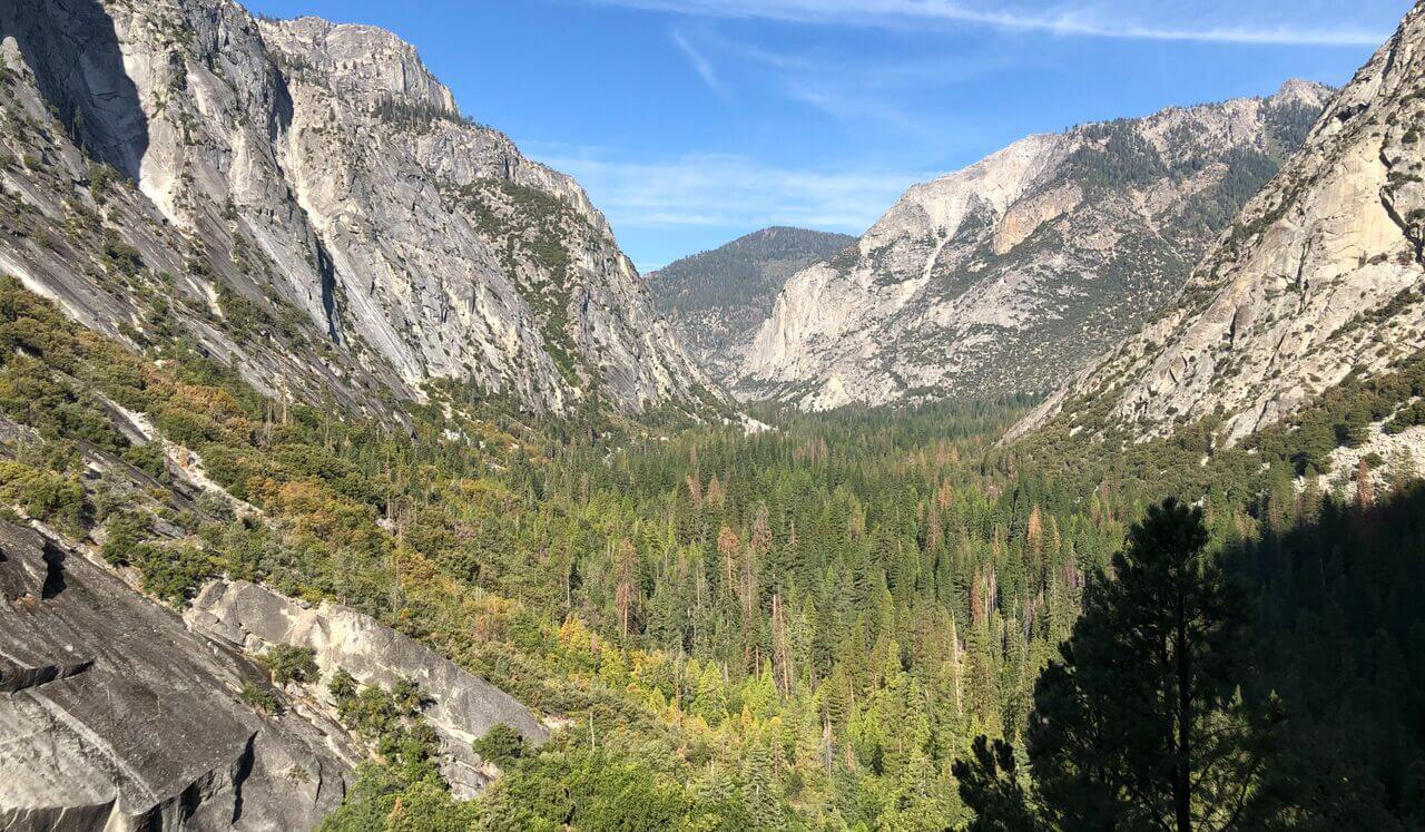 Easing The Struggle - Getting Unstuck From Sticky Thoughts