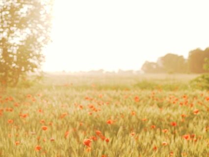 Breathwork For Anxiety - by Ana Lilia