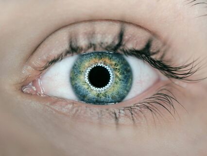 Wake Up From The Language Trance That Is Your Mind - by Hans van Veen