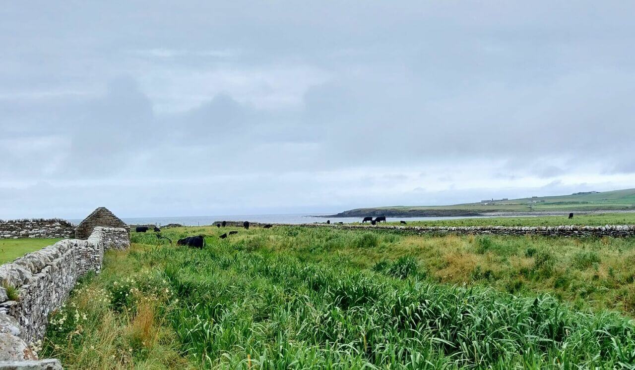 Earth Blessings And Commitment