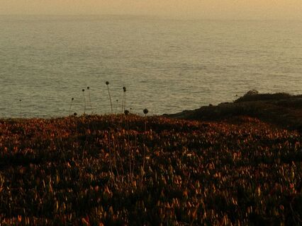 Healing The Habit Of Self-Abandonment - by Kiran Patel