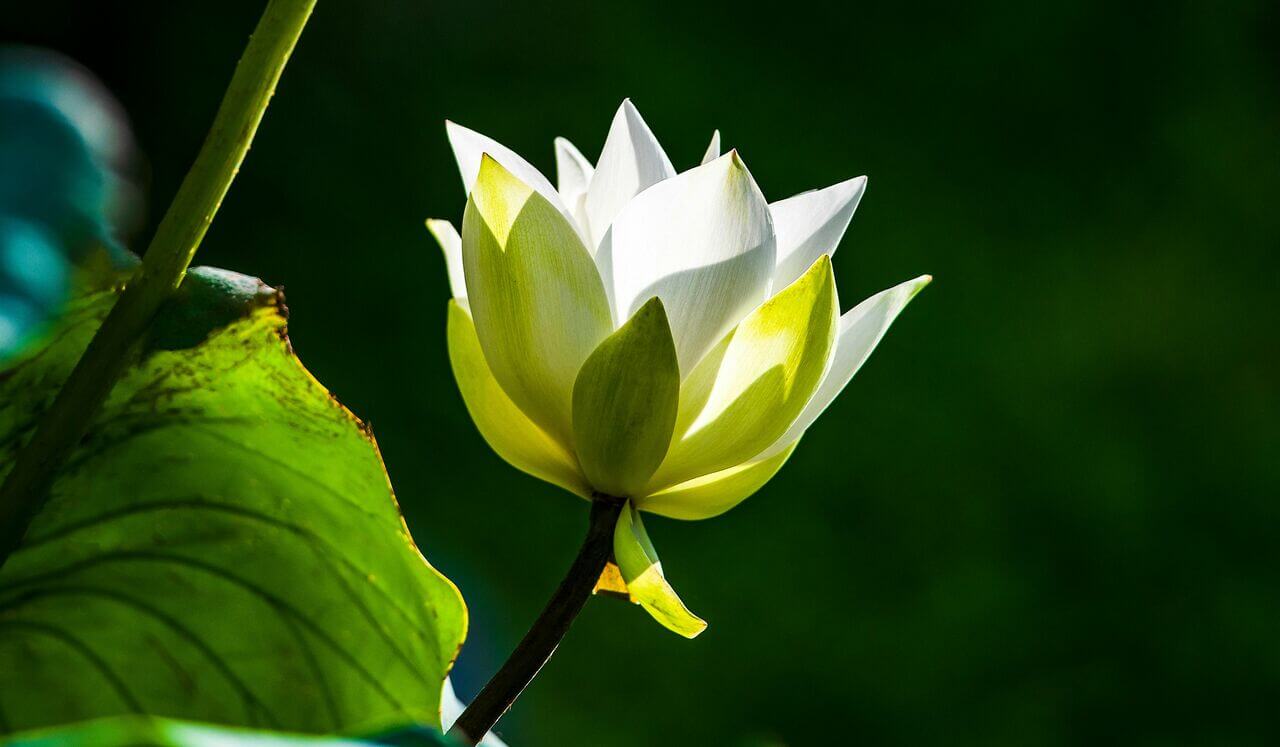 Live Bijeenkomst: Controle In Zachtheid Loslaten