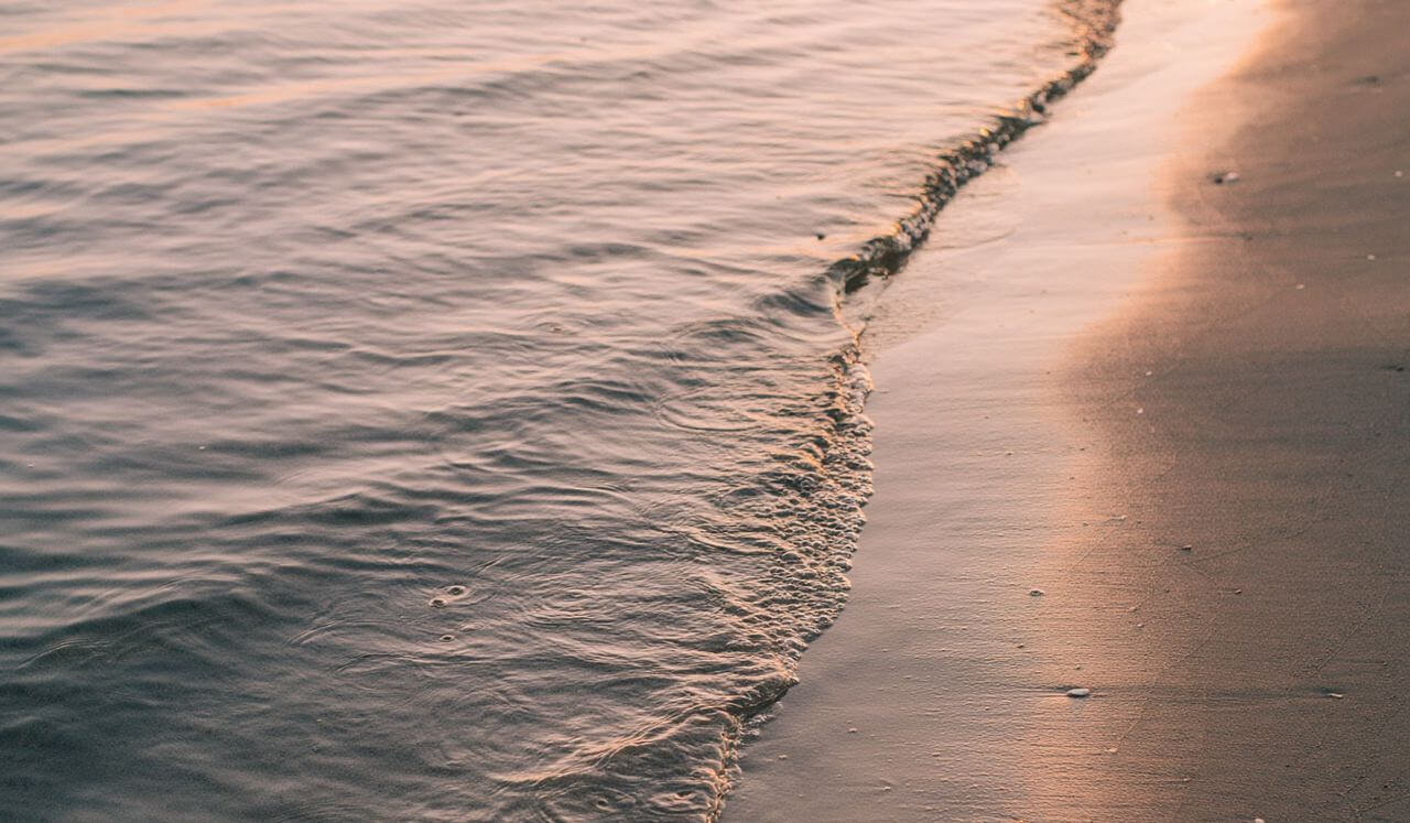 Coming Home To The Body