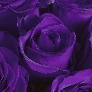 Boost Balance Your Third Eye Chakra-Guided Energy Meditation | Maria Rinné