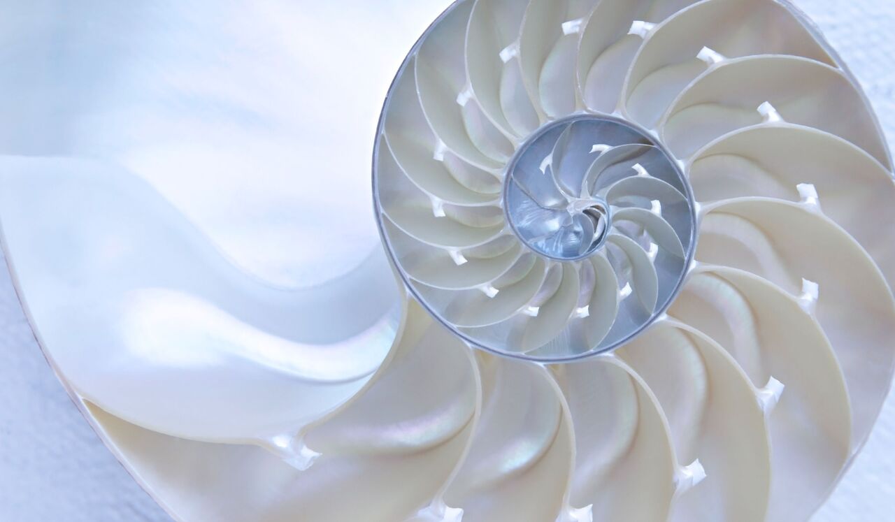 Higher Consciousness: Sleep & Receive 528Hz