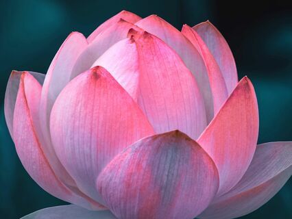 How To Heal Yourself With Energy