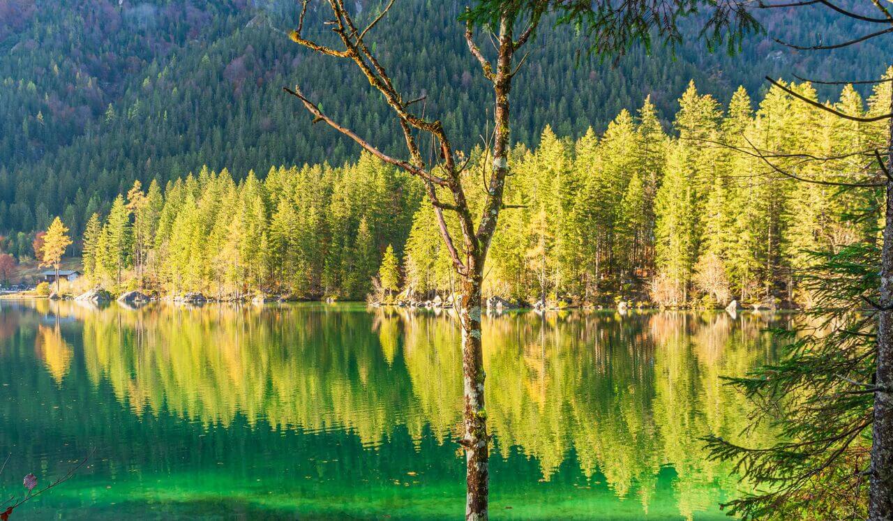 Elements Balancing : Deep Sleep Affirmations