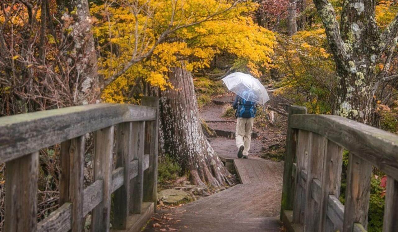 When Joy Feels Like Betrayal