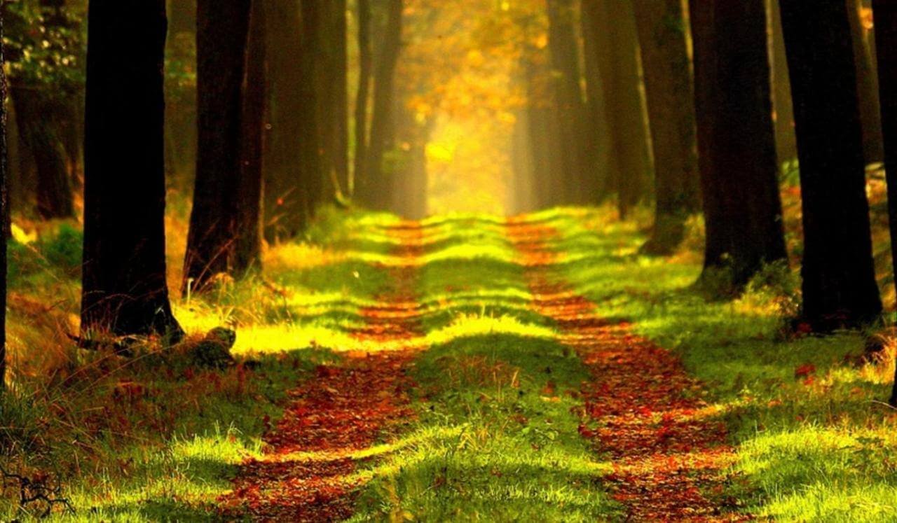 Moving Forward After Loss