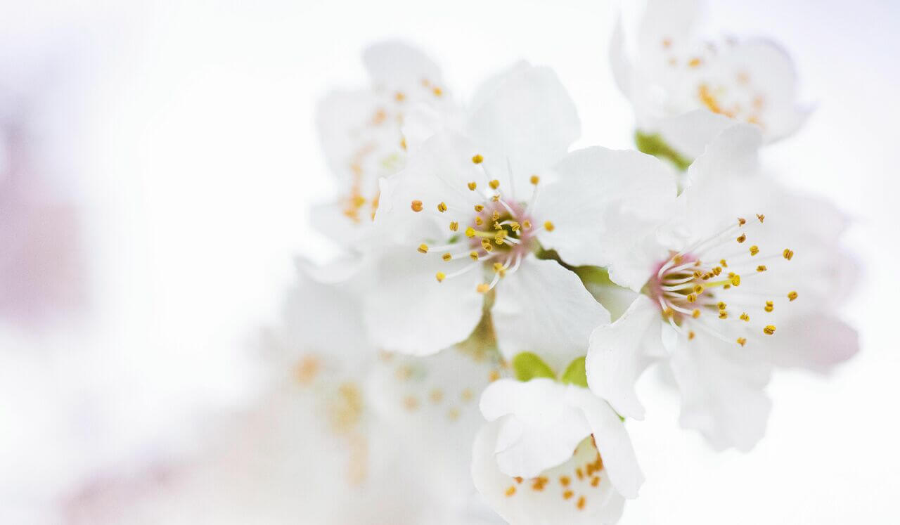 Navigating Grief And Anger With Dr. Kate Truitt