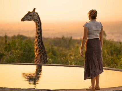 Nonviolent Communication Part 3: Self-Connection, Guilt & The Organism - by Hans van Veen