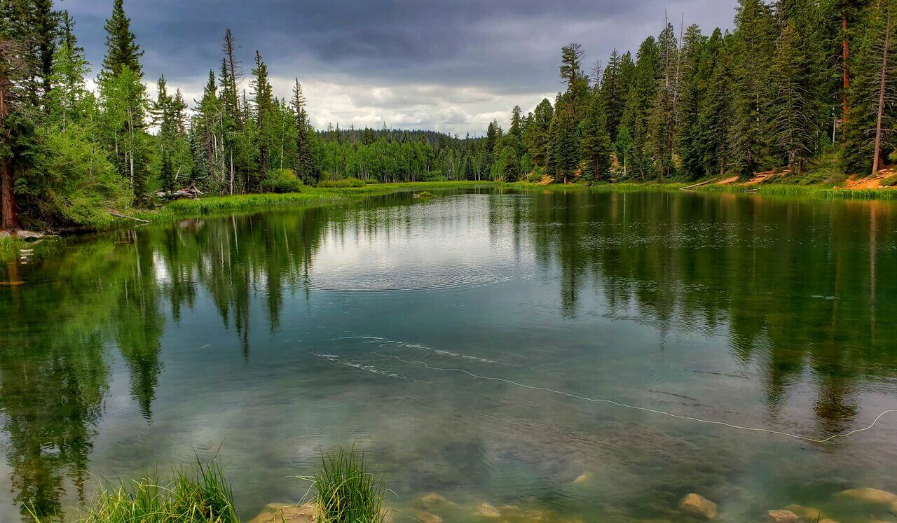 Bilateral Stimulation Music: Calm Your Nervous System