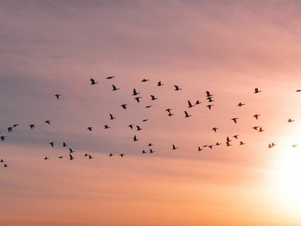 Remote Viewing: A Journey into the World of Spiritual Perception - by Julian Jenkins