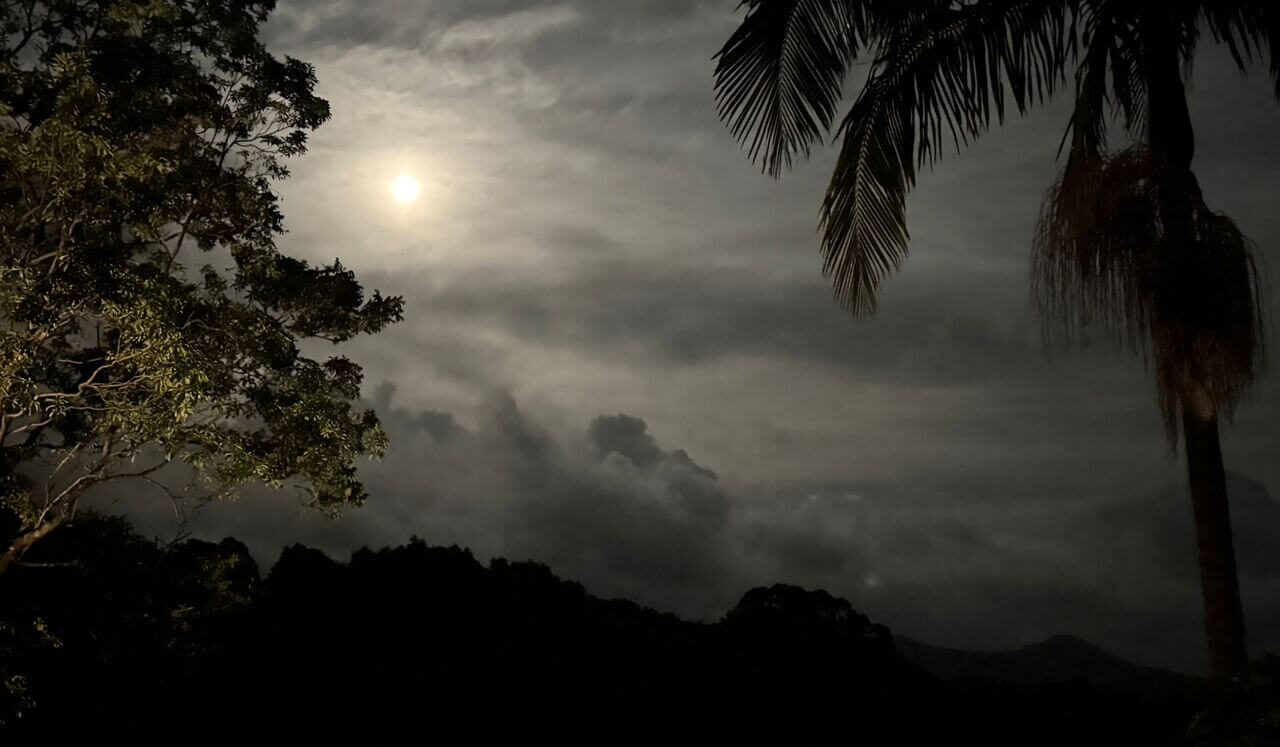 Poem- Orienting, Breath & Pendulation