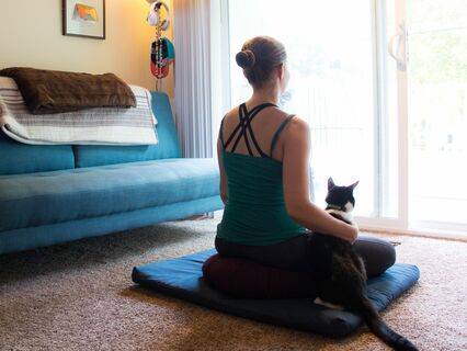 Meditate With Your Cat Ahsa Marandi