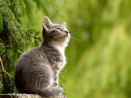 Understand Your Destination And The Future You: Know Your Where - by Felix Schaefer