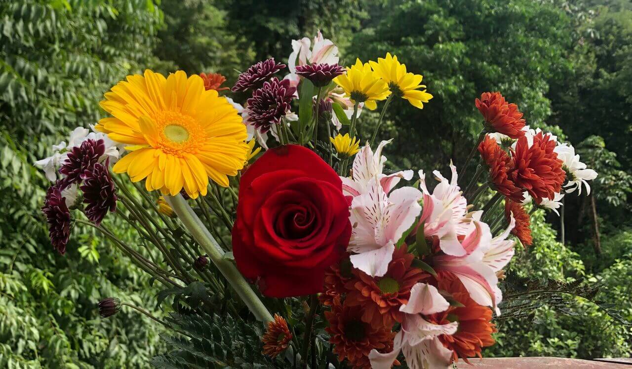 Light As A Feather Sound Journey