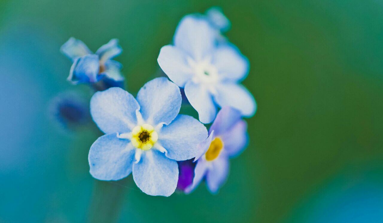 Limpieza Para Dormir Profundo
