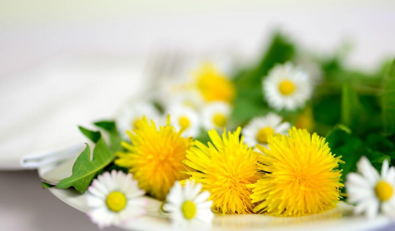 The Gift Of The Reiki Precepts From Your Future Self