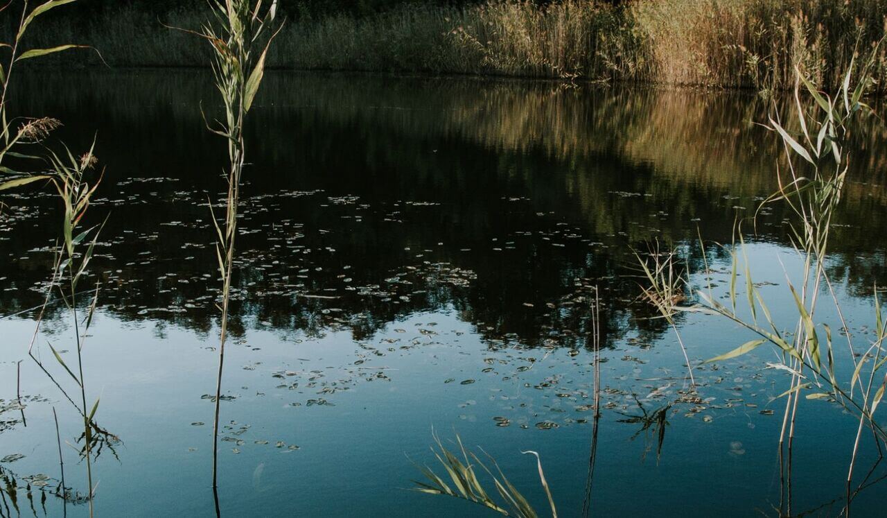 Release Trauma Signals - Lack Of Commitment