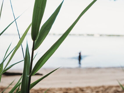 10-Minutes To Balance The Nervous System