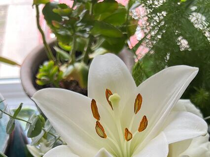 Ease Your Mind Relaxation For Expecting Mothers