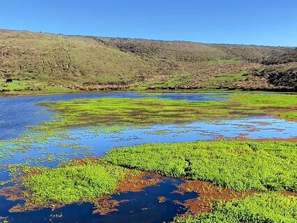 Urge Surfing For Hair Pulling