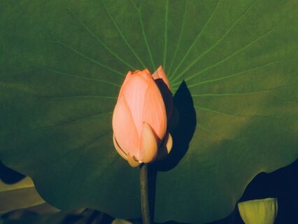 The Most Important Relationship You Will Ever Have Is With Yourself - by Kiran Patel