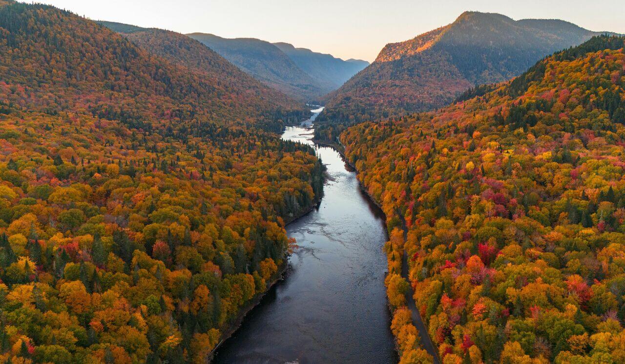 Vagus Nerve Humming DMT Alkaline Breathing (3 Rounds)