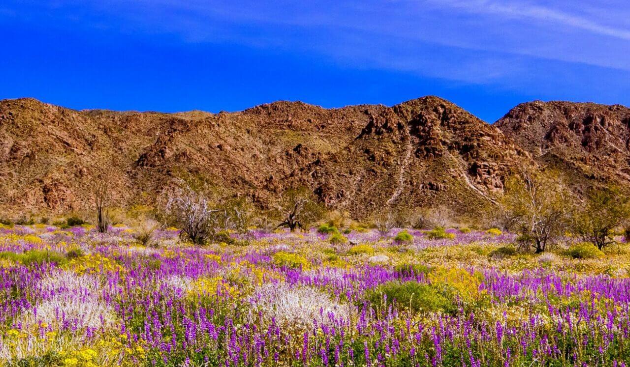 IFS Meditation: A General Parts Meditation