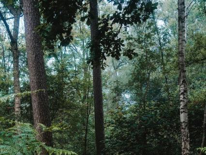 You Don't Have To Figure It Out: Finding Peace With Uncertainty - by Kiran Patel