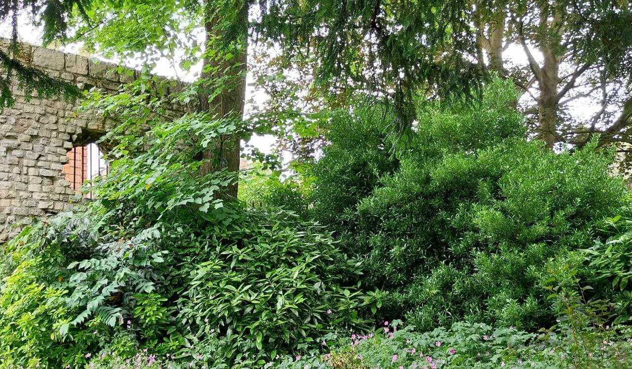 Loving Our World Sacred Earth Practice