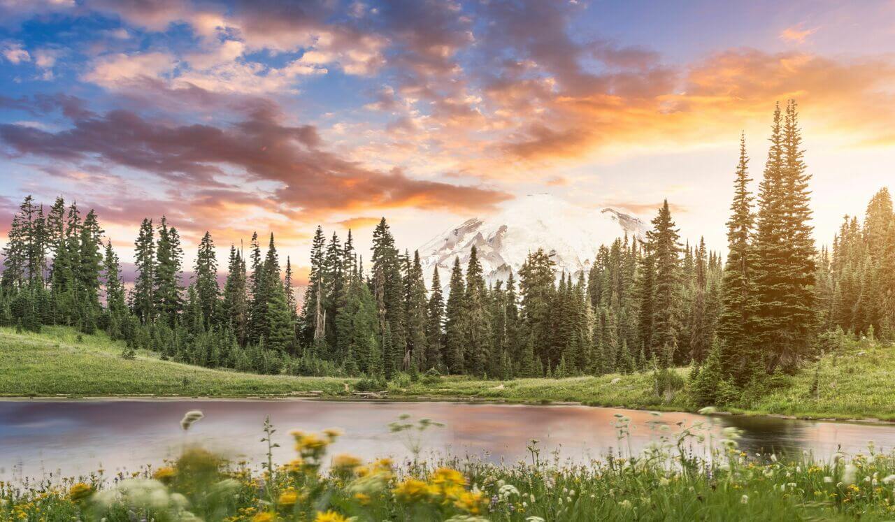 Manifesting Oneness Sleep: 396Hz Grounding: 999Hz Connection