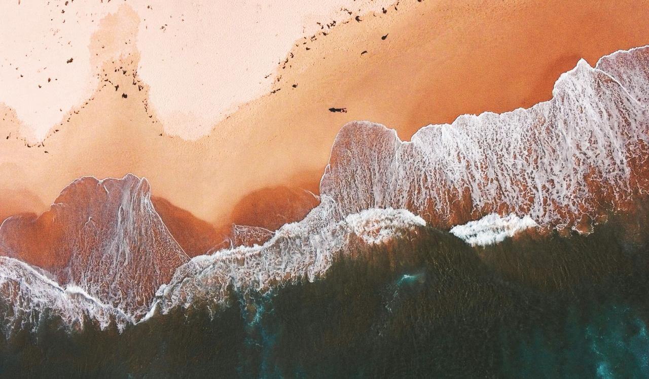 Let Them Go: Let Them Irritate — Calm Within (Vipassana)