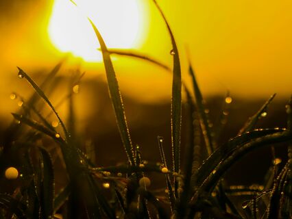 Let Your Inner Light Shine Solfeggio Tone 741 Hz