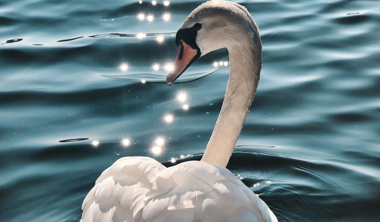 Come Down From Crisis - Supportive Space