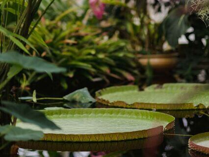 The Beauty Of Change: Living As A Work In Progress - by Kiran Patel