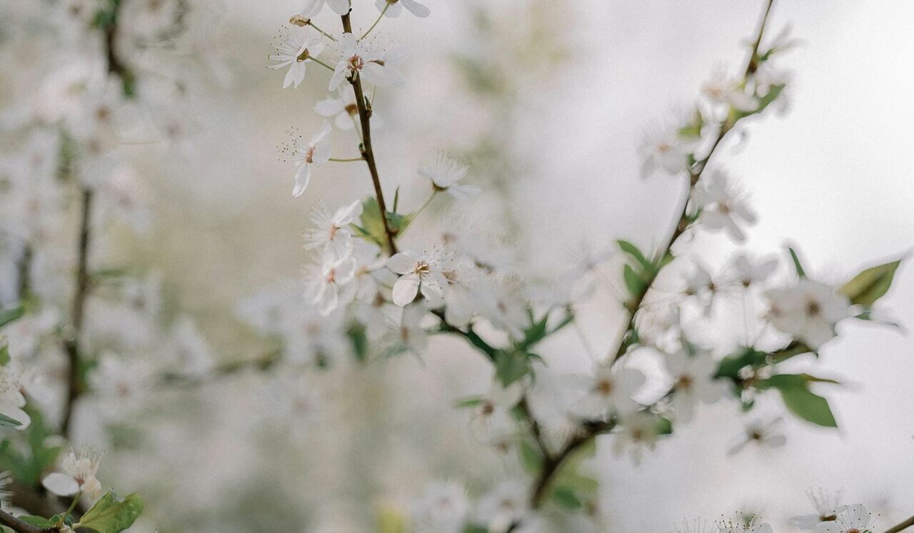 Shifting Perspective